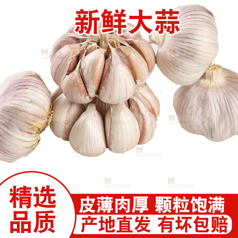 白底上的干蒜