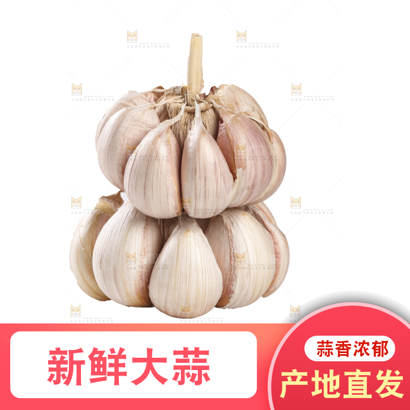白底上的干蒜