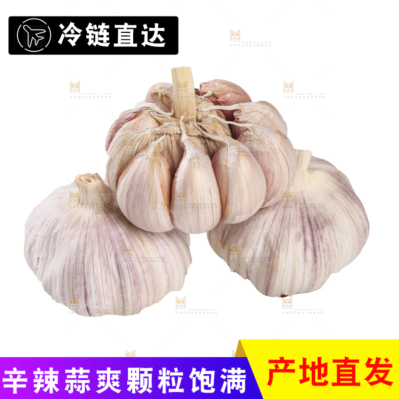 白底上的干蒜