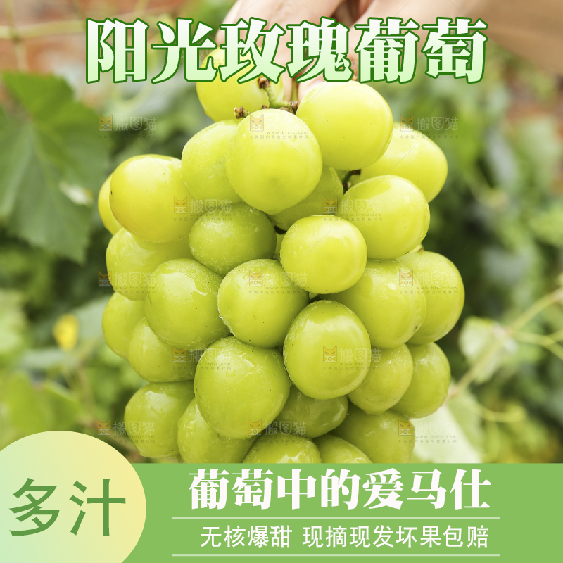 手里拿着阳光玫瑰