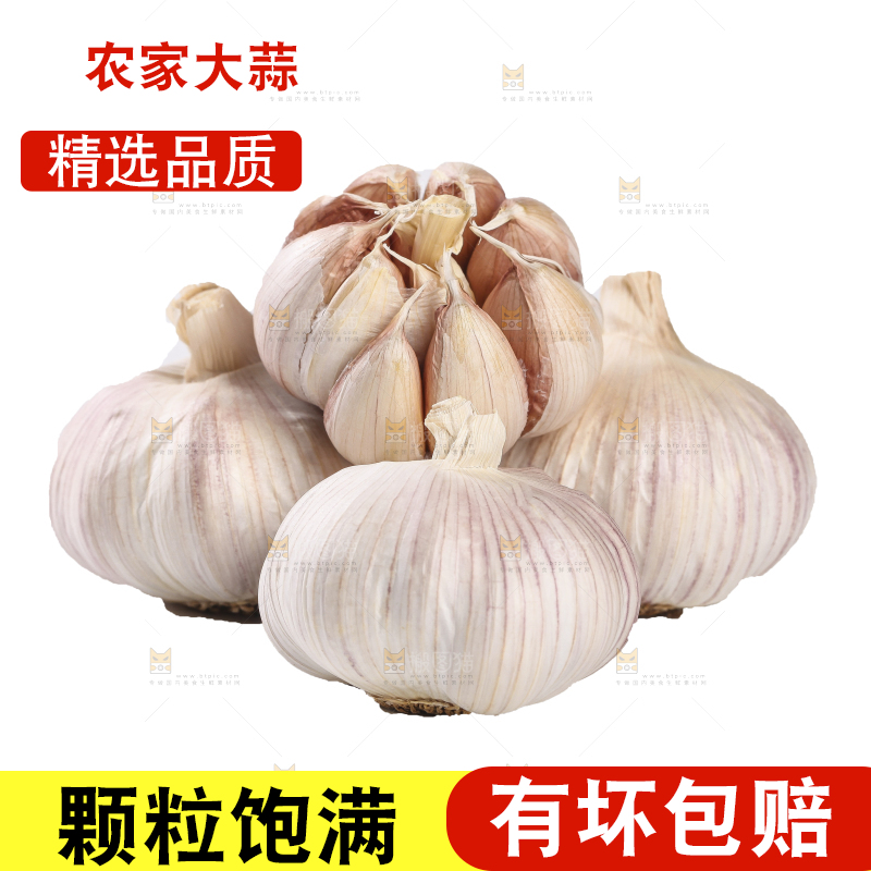 白底上的干蒜
