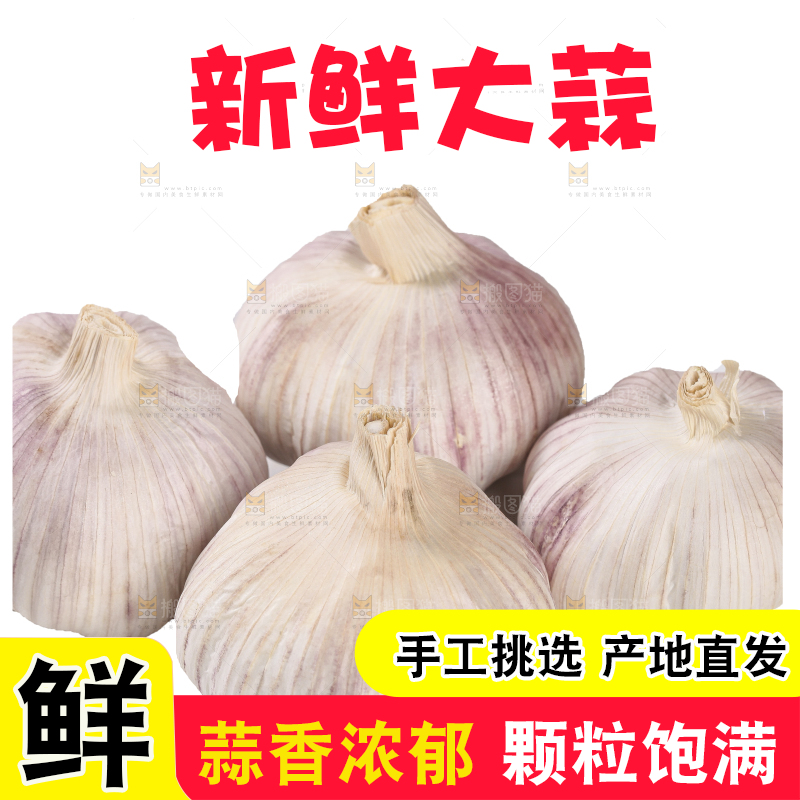 白底上的干蒜