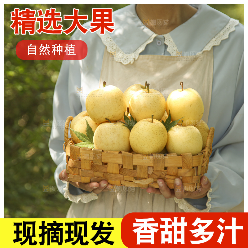 手里拿着新鲜皇冠梨
