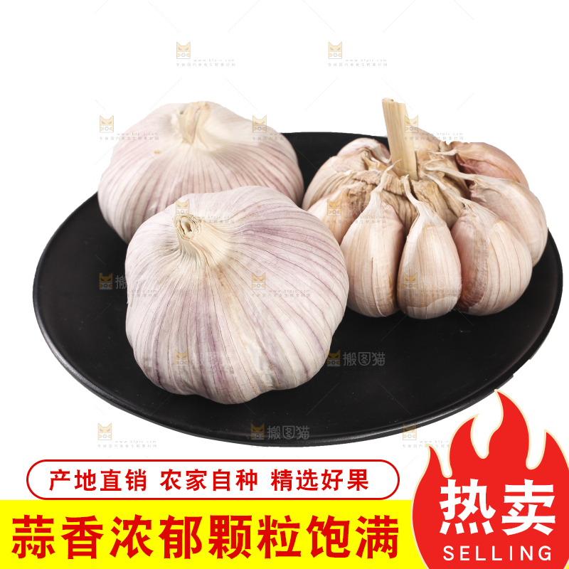 白底上的干蒜