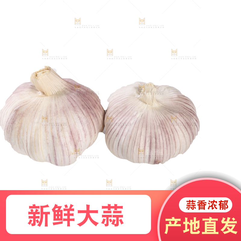 白底上的干蒜