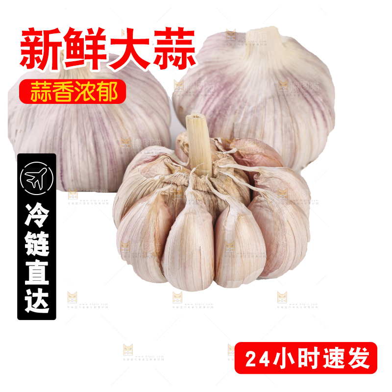 白底上的干蒜