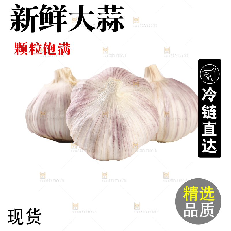 白底上的干蒜