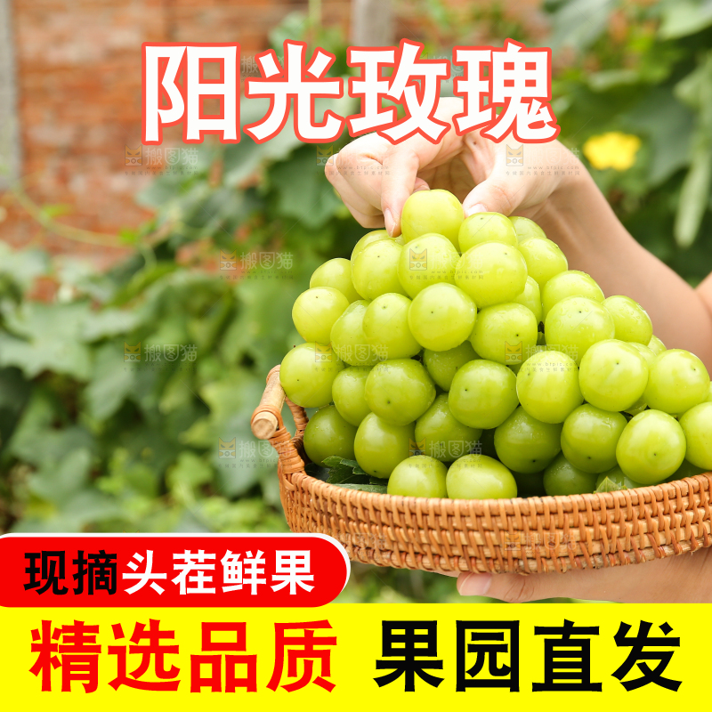 手里拿着阳光玫瑰