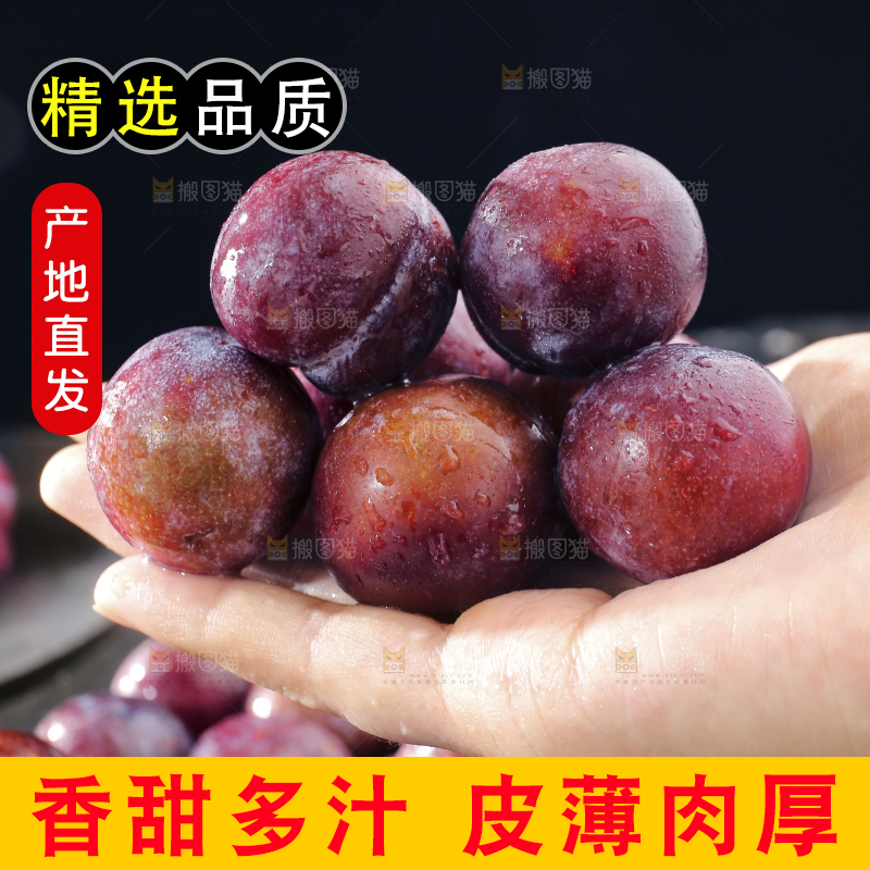 深底上放着脱骨李