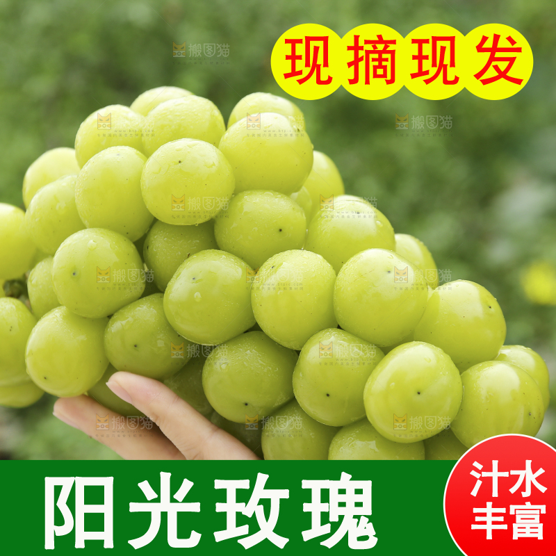 手里拿着阳光玫瑰