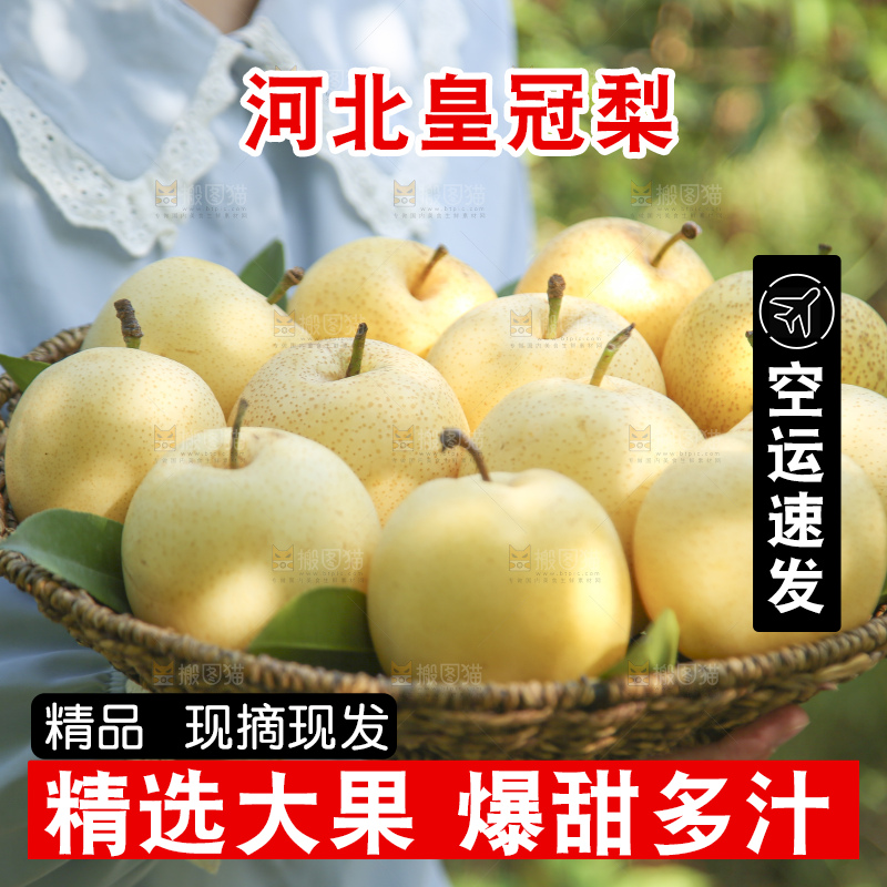 手里拿着新鲜皇冠梨