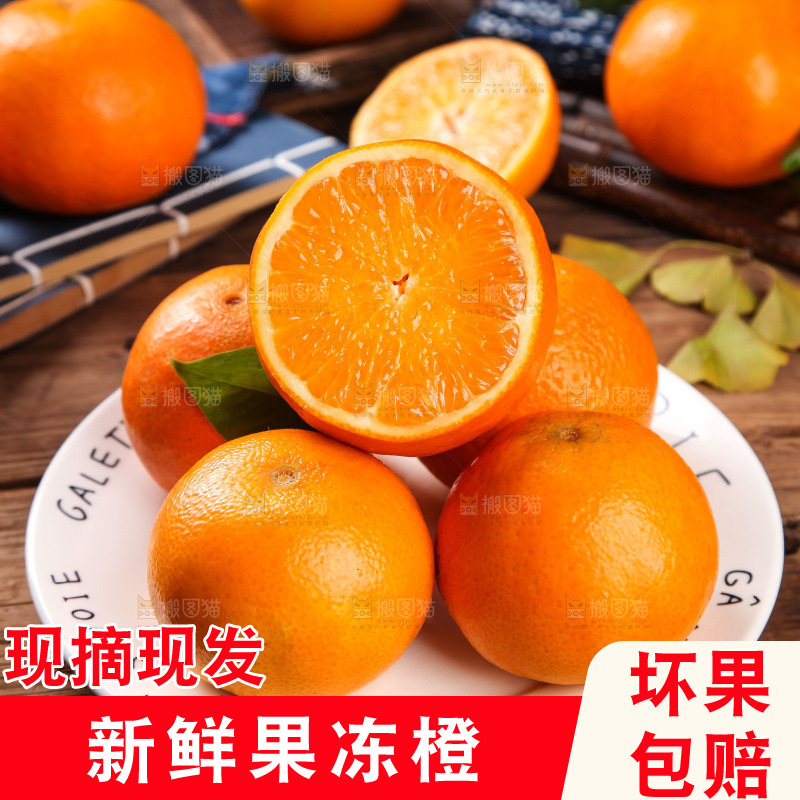 深木底上的爱媛38号
