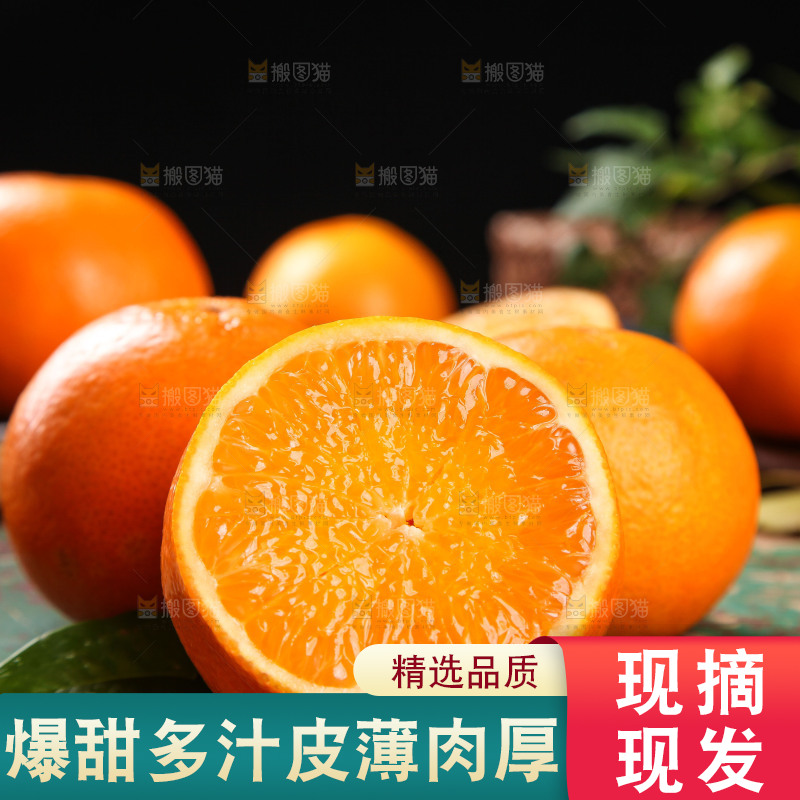 深木底上的爱媛38号
