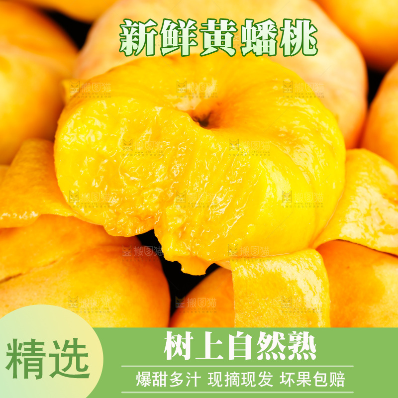 深底上的黄毛蟠桃