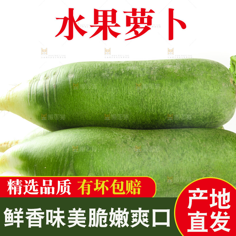 白底上的水果萝卜