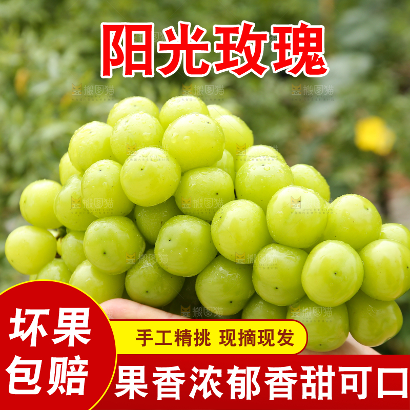手里拿着阳光玫瑰