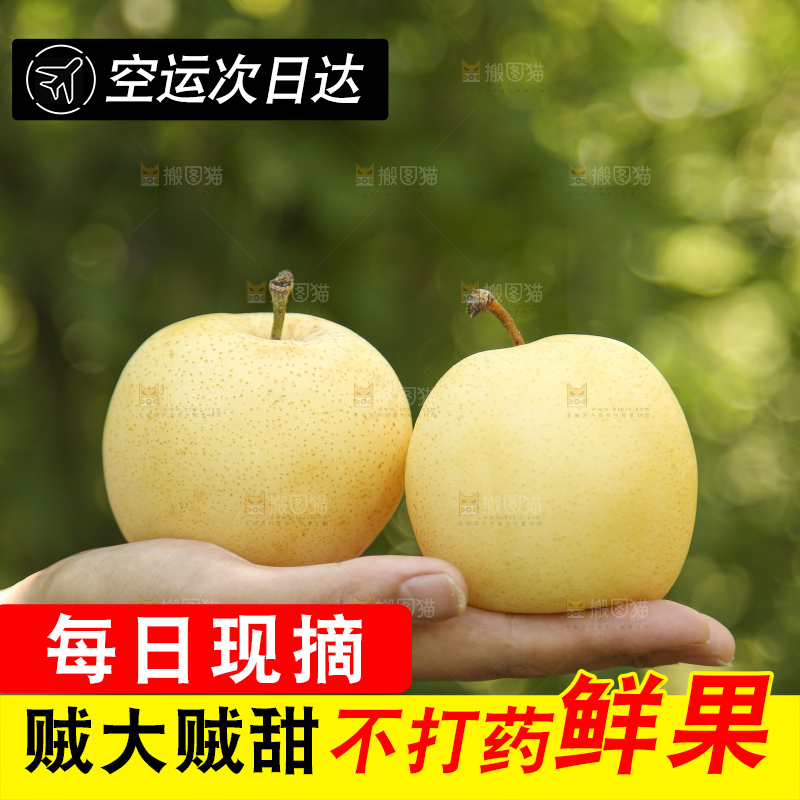 手里拿着新鲜皇冠梨