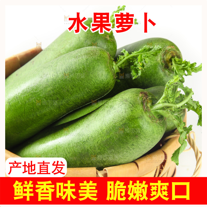 白底上的水果萝卜