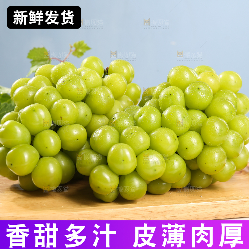 浅底上的晴王香印青提