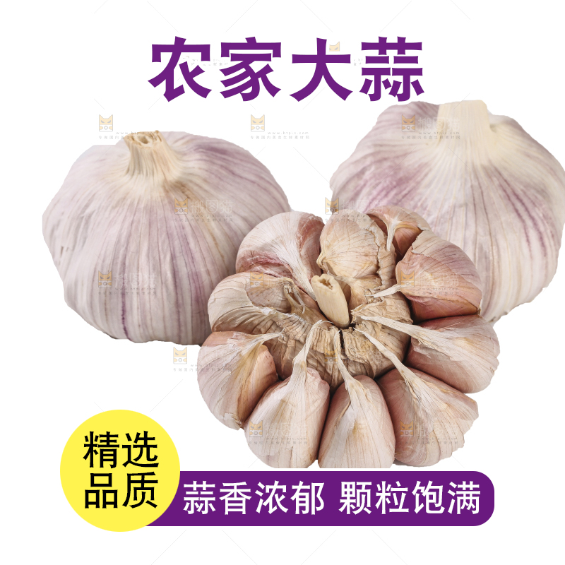 白底上的干蒜