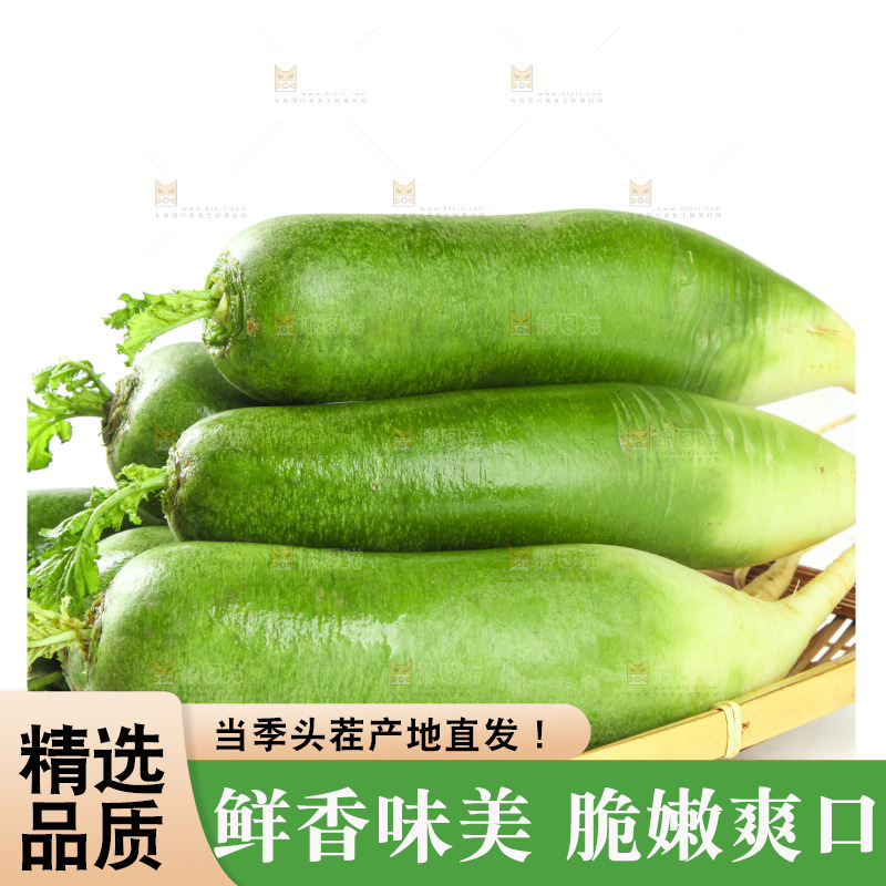 白底上的水果萝卜