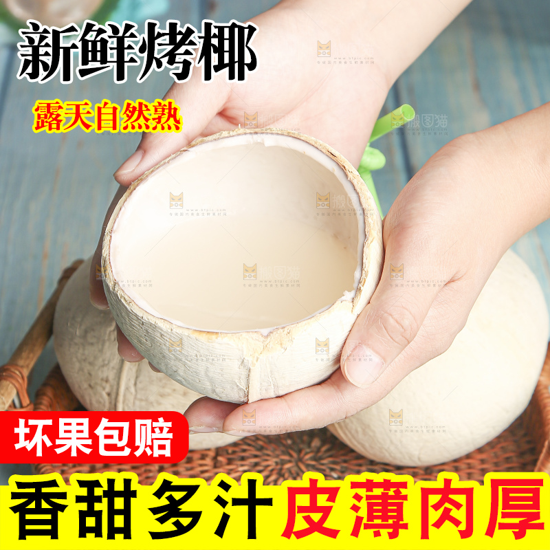 浅底上的泰国进口烤椰
