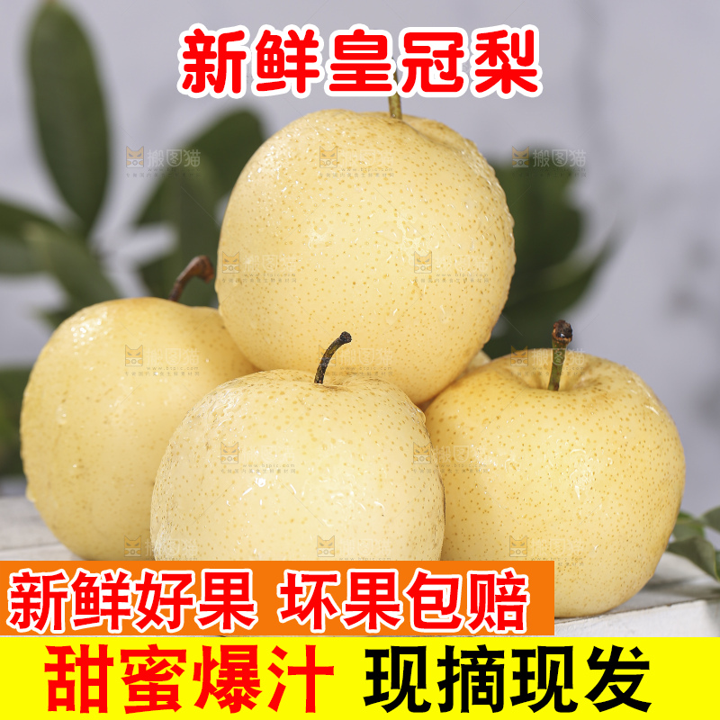 浅底上的皇冠梨