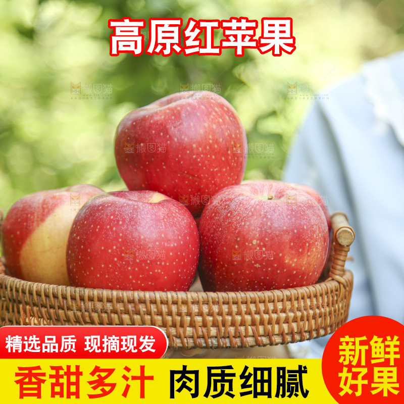 手里拿着高原红苹果