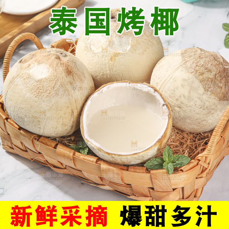 浅底上的泰国进口烤椰