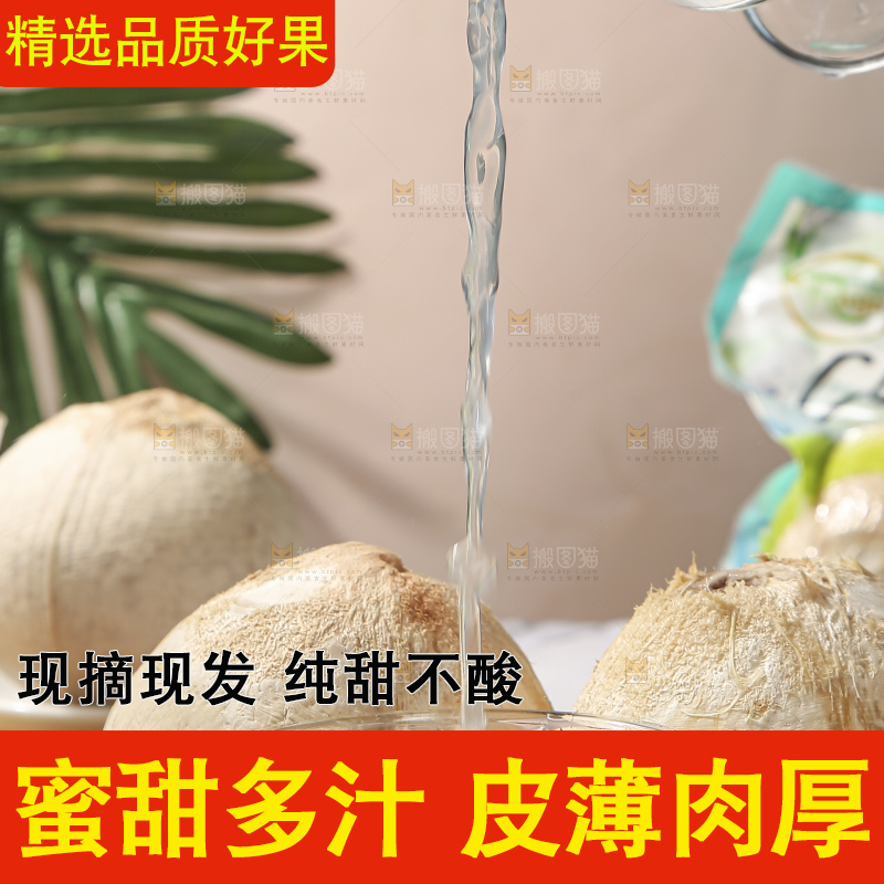 浅底上的泰国进口烤椰