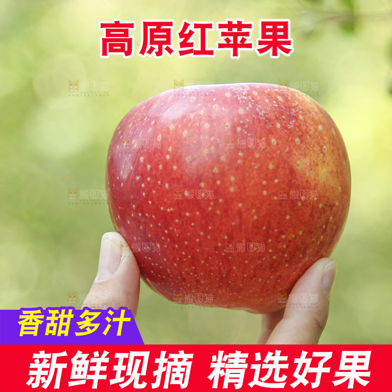 手里拿着高原红苹果