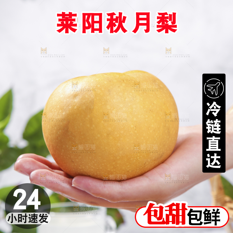 秋月梨主图