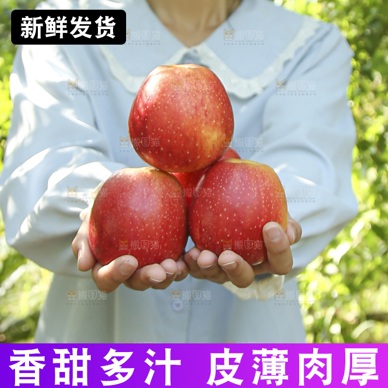 手里拿着高原红苹果