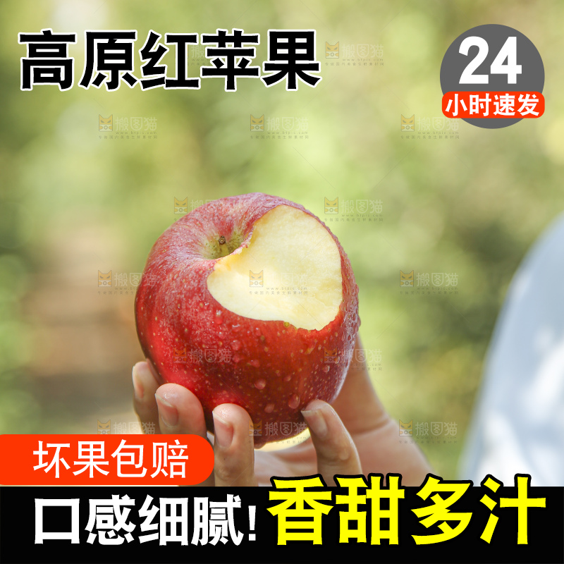手里拿着高原红苹果