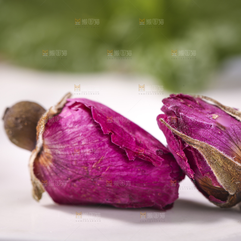 浅底上的玫瑰花干