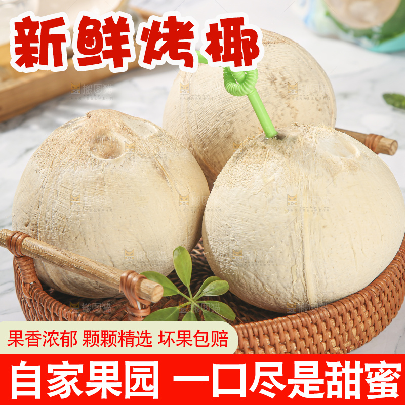 浅底上的泰国进口烤椰