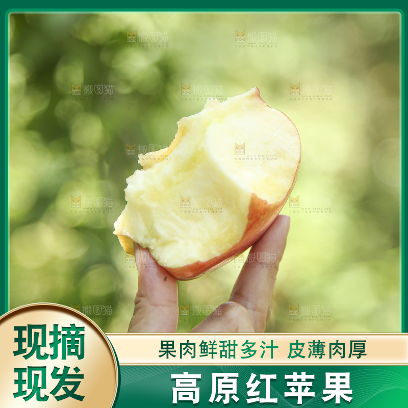手里拿着高原红苹果