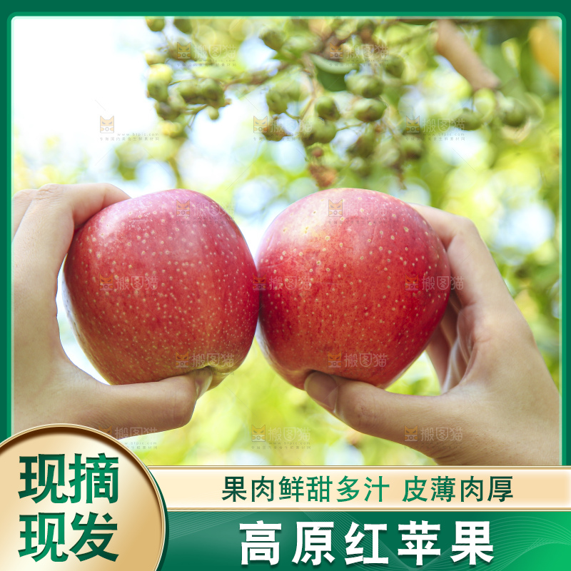 手里拿着高原红苹果