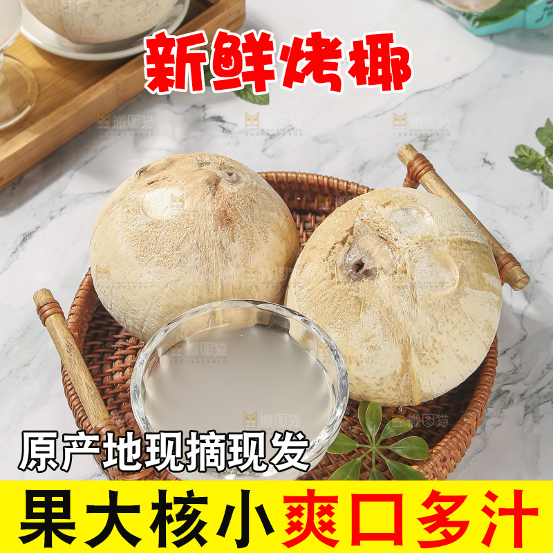 浅底上的泰国进口烤椰