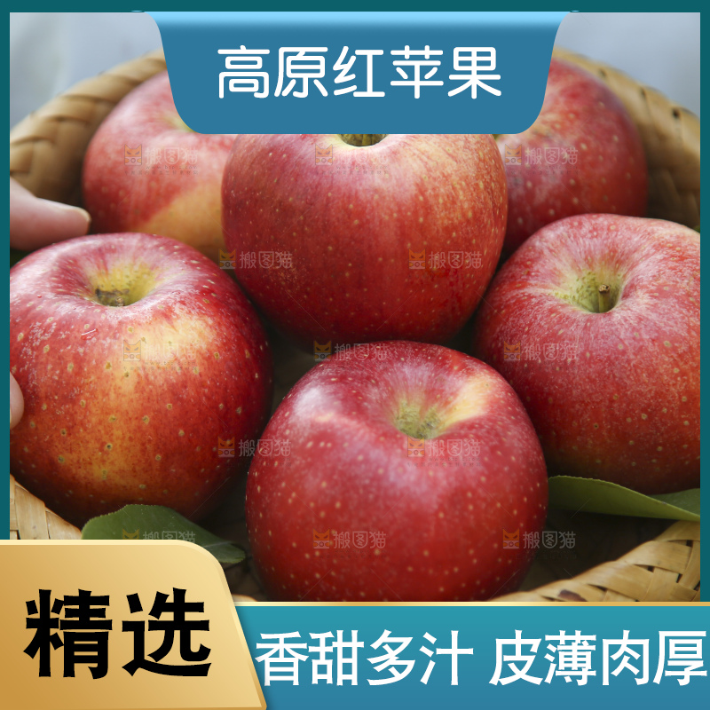 手里拿着高原红苹果