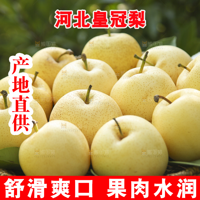 手里拿着新鲜皇冠梨