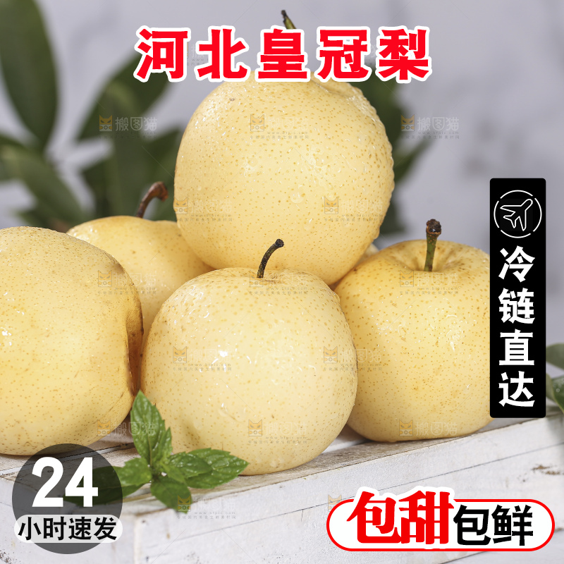 浅底上的皇冠梨