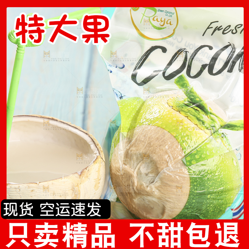 浅底上的泰国进口烤椰