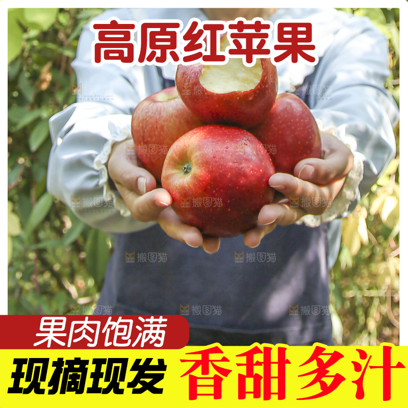 手里拿着高原红苹果