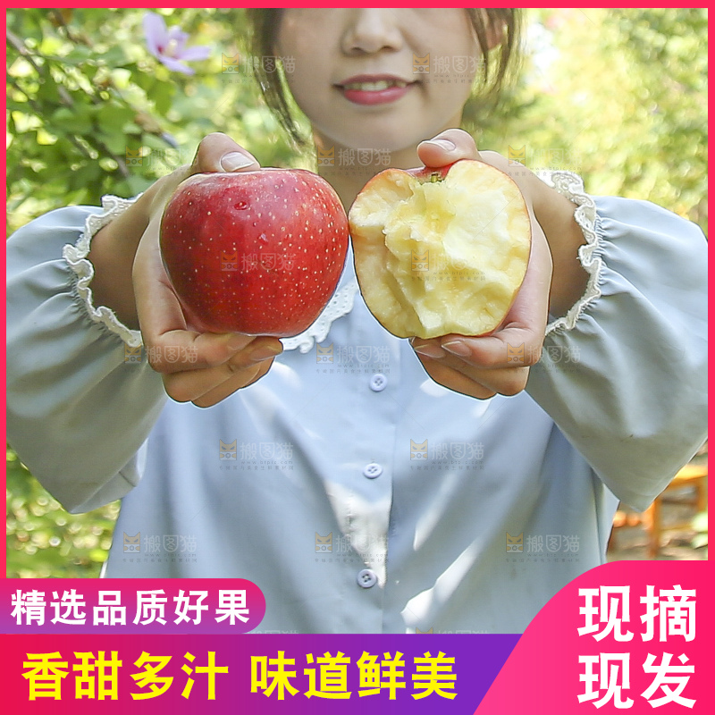 手里拿着高原红苹果