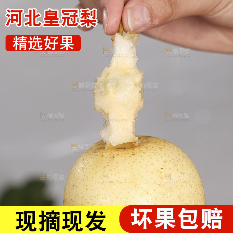 浅底上的皇冠梨