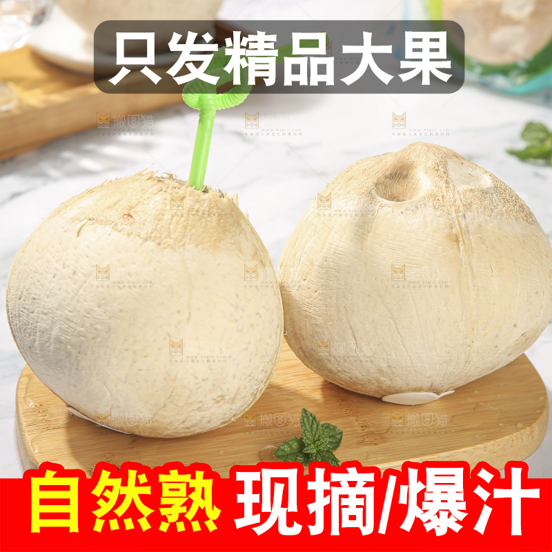 浅底上的泰国进口烤椰