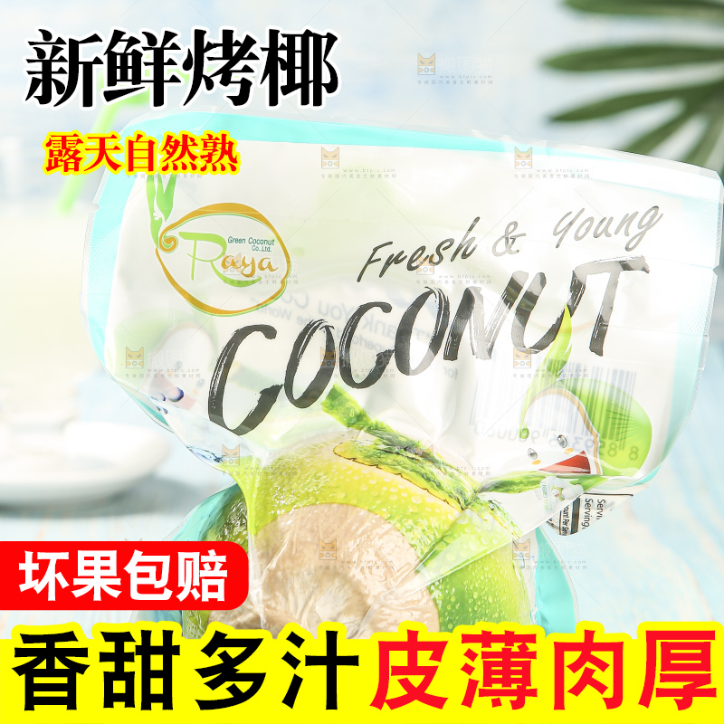 浅底上的泰国进口烤椰