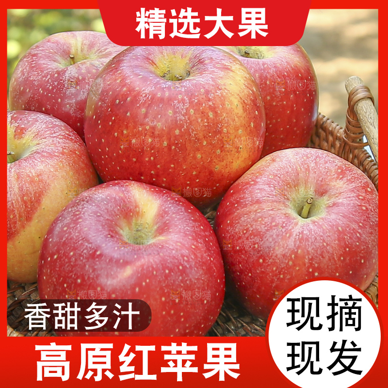 手里拿着高原红苹果
