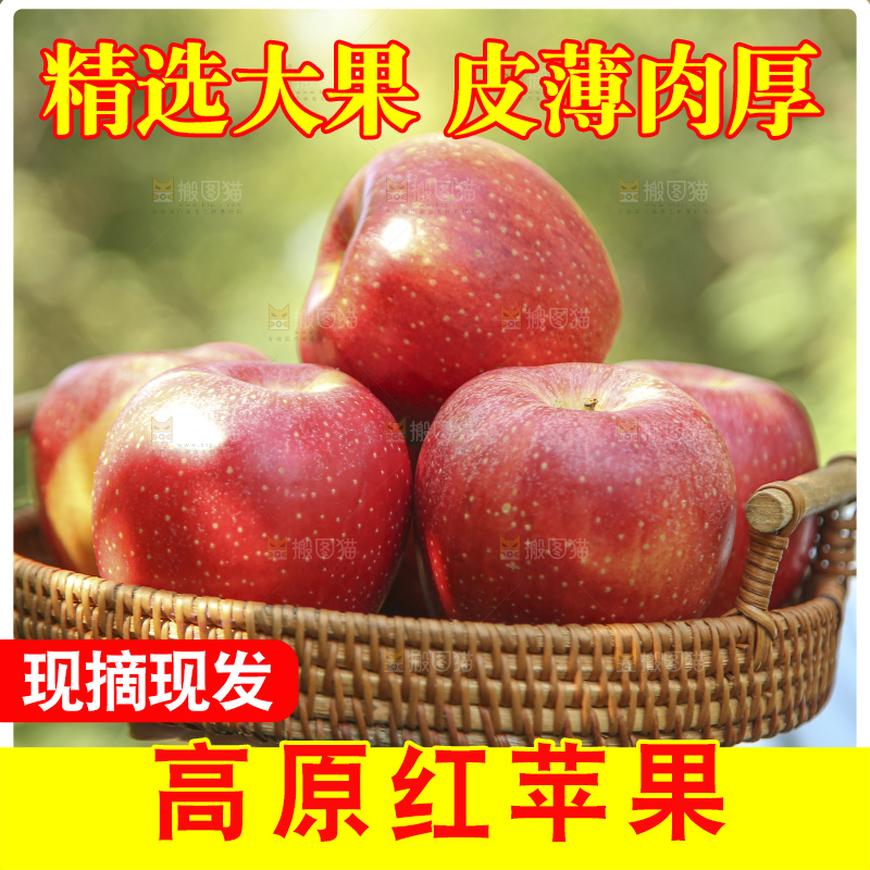 手里拿着高原红苹果